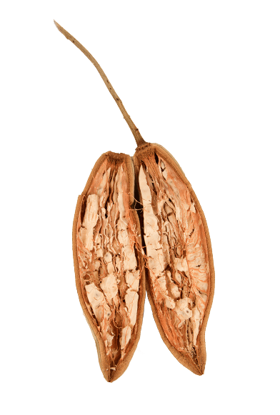 BAOBAB
