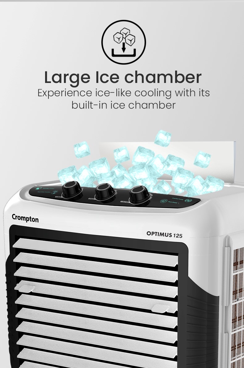 Large Ice Chamber