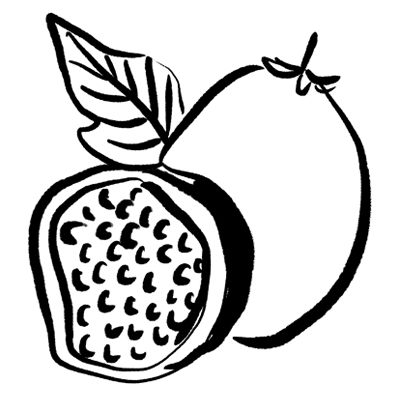 PASSIONFRUIT SEED OIL