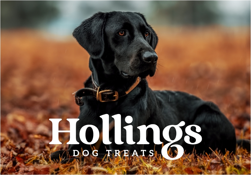 Hollings Dog Treats