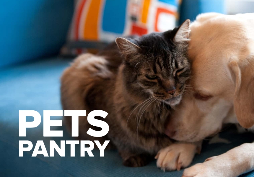 Pets Pantry Dog Food