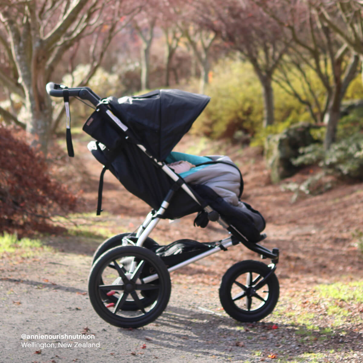 mountain buggy jogger