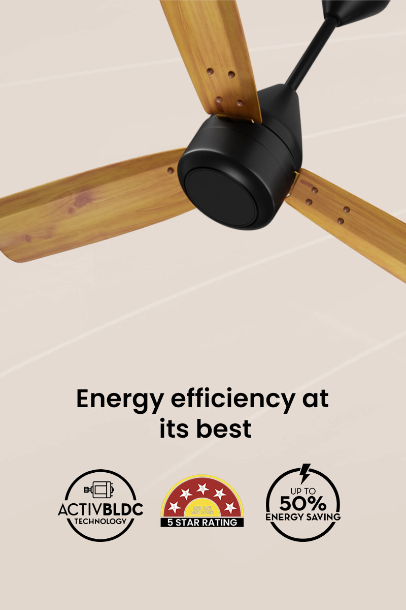 Energy Efficiency at its Best