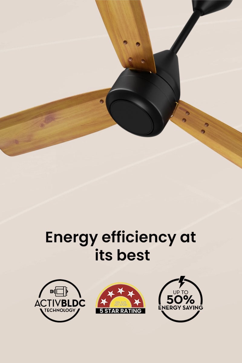 Energy Efficiency at its Best
