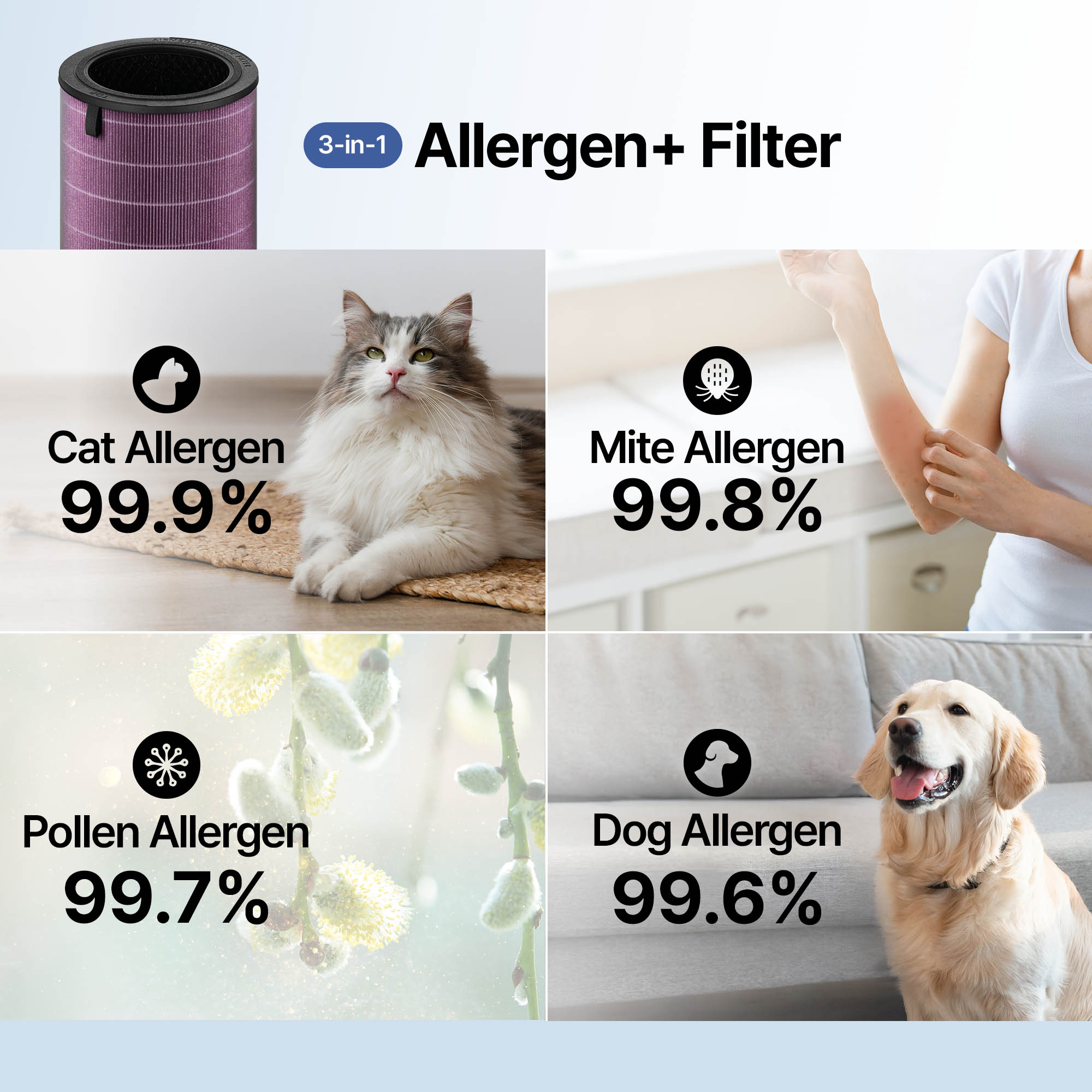 Allergen+ filter protects from cat, dog, pollen, and mite allergens