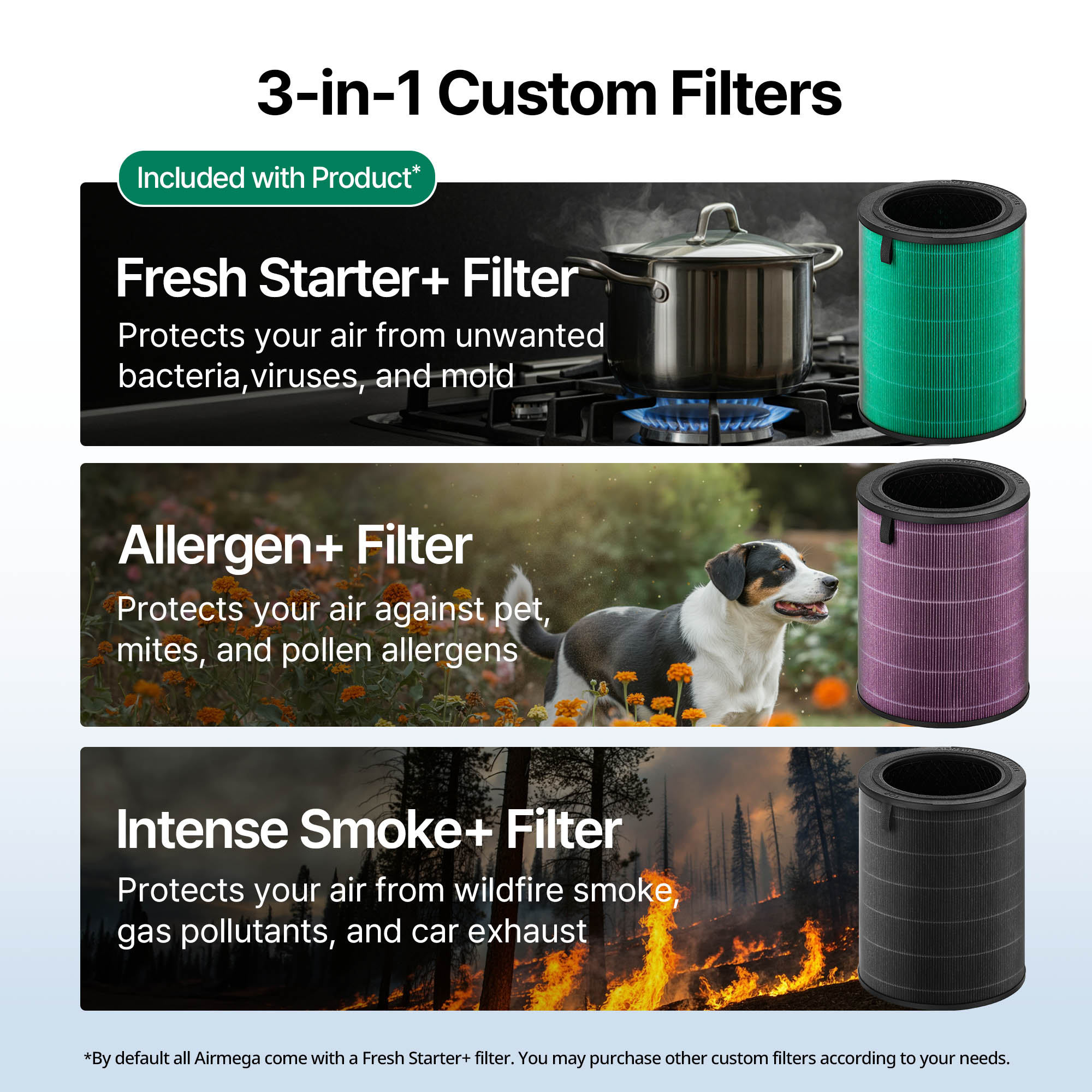 Choose from 3, 3-in-1 custom filters: fresh starter, intense smoke+, or allergen+ filters.  Airmega 350 comes with Fresh Starter filter already included.