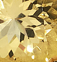 Variant Beryl