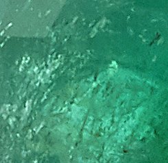 Variant {{ current_variant.option1 }}