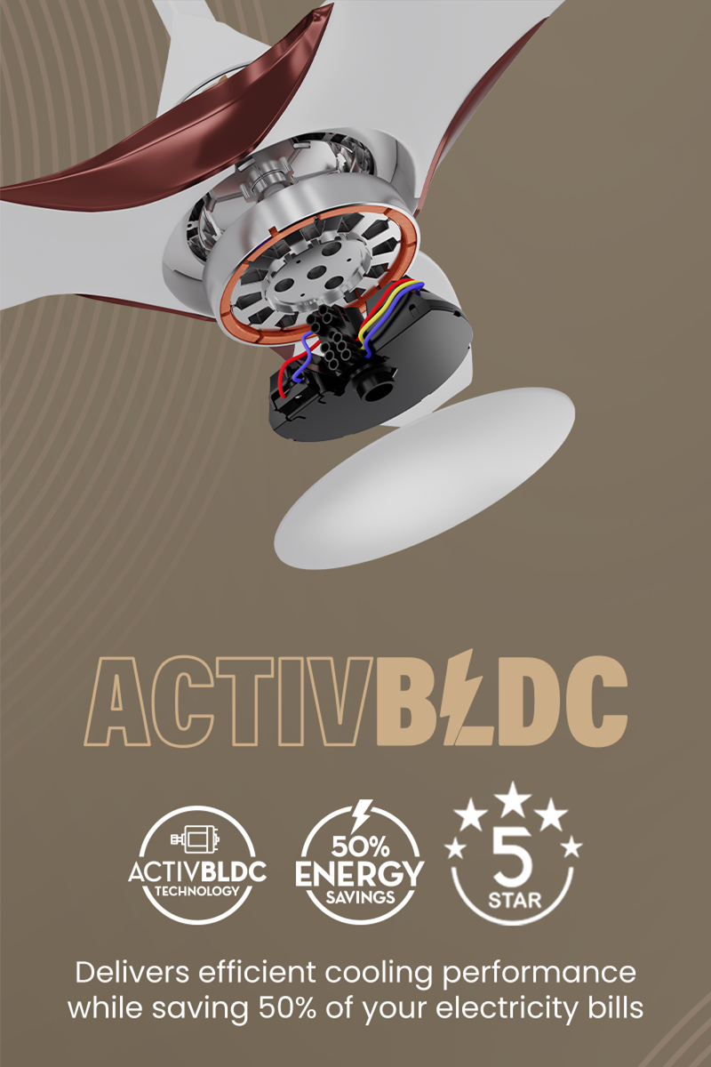 ActivBLDC