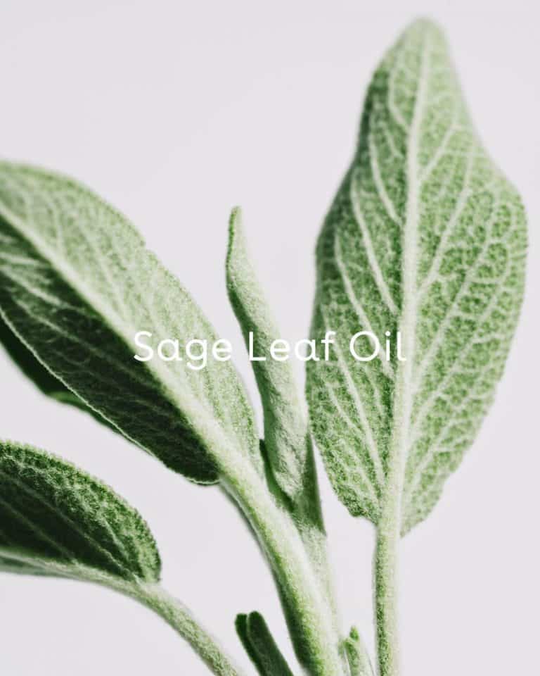 Hydrate Refreshing Micellar Water with Chamomile, Sage & Aloe Leaf Juice