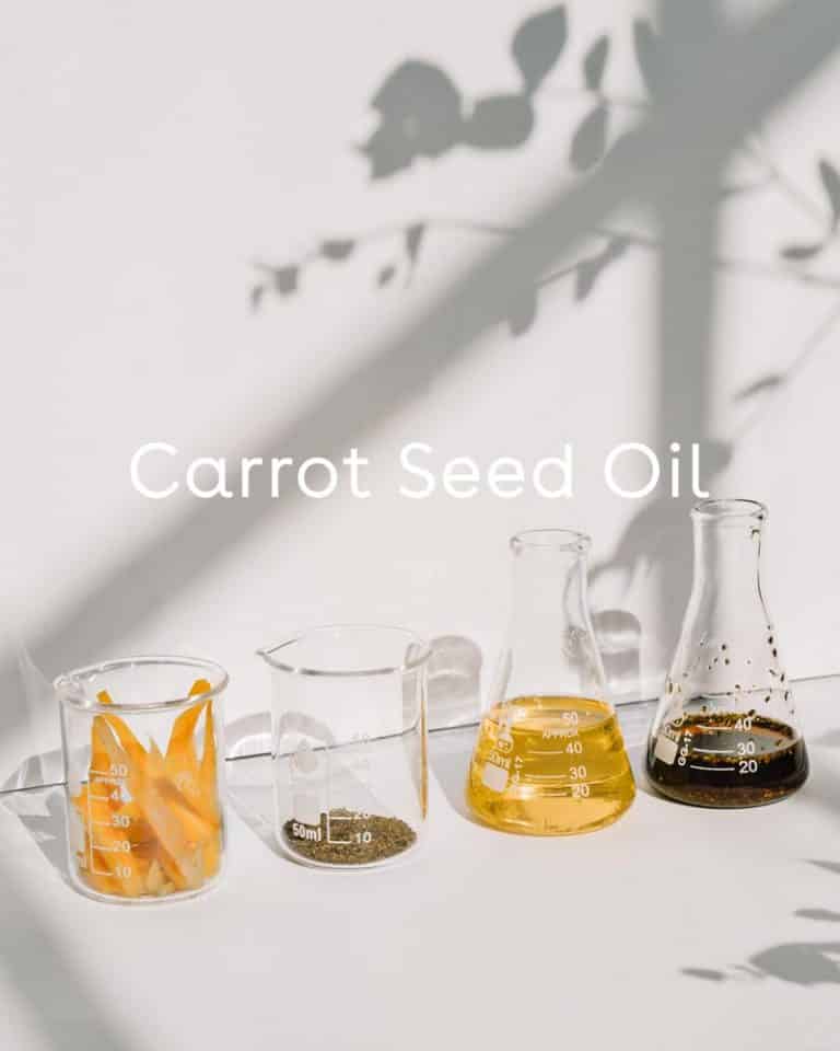 Defend Skin Restoring Serum with Carrot Seed Oi + Rooibos Red Tea + Sodium Hyaluronate