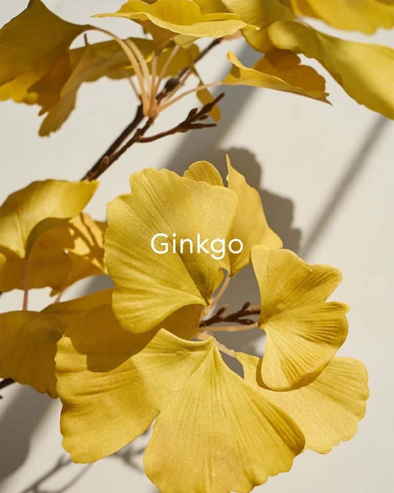 Defend Gentle Exfoliator with Ginkgo