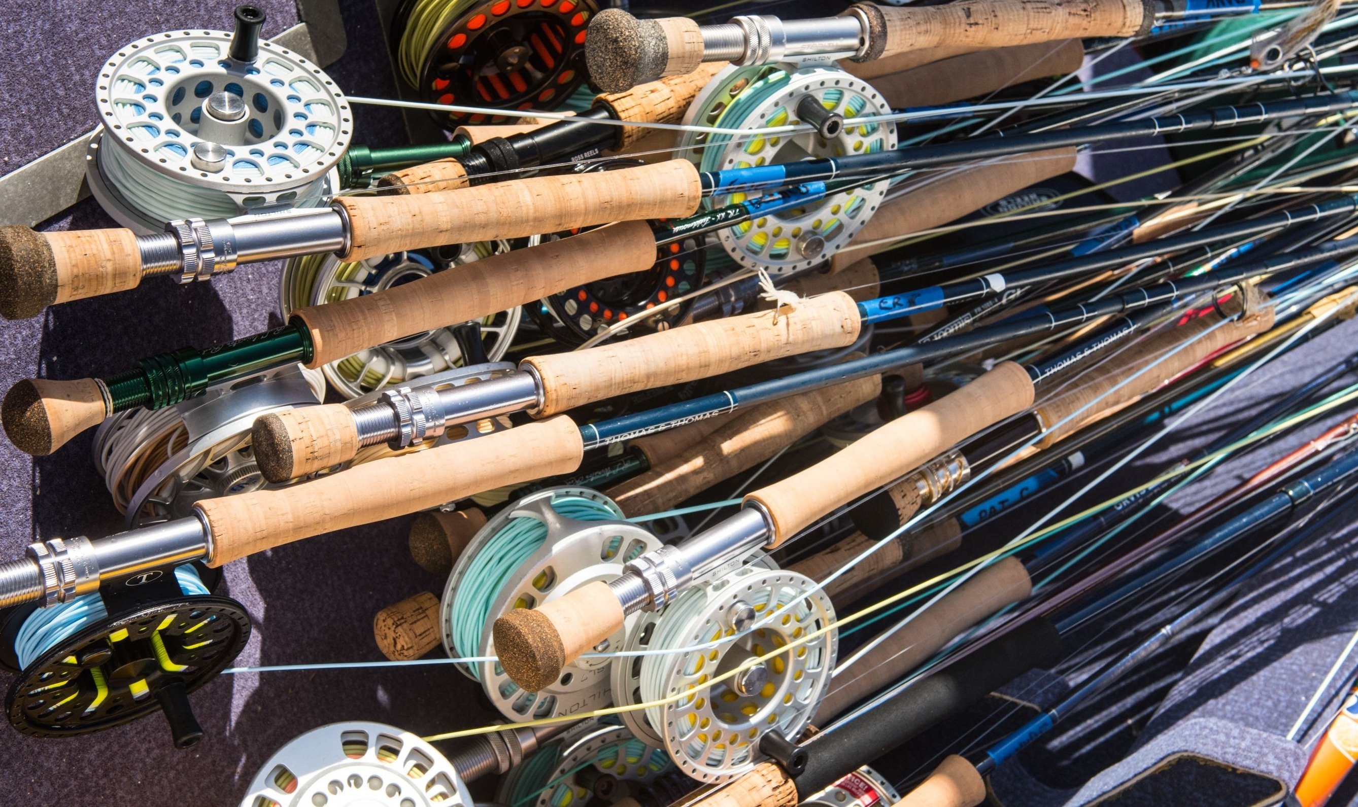 Shop Fly Rods: Sage, Scott, Orvis, and More