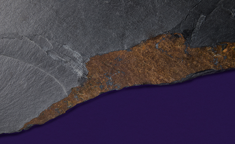 textured image of a piece of slate slab overtop a purple background.