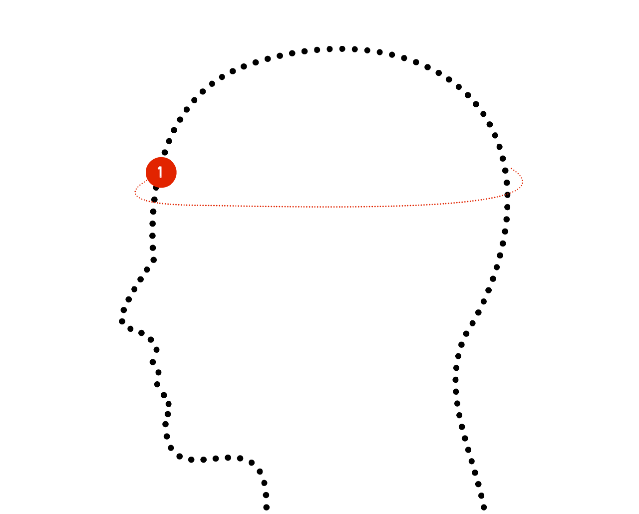 Size guide image