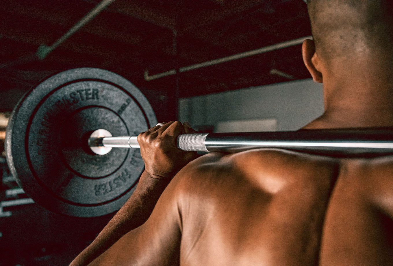 olympic barbell back squat