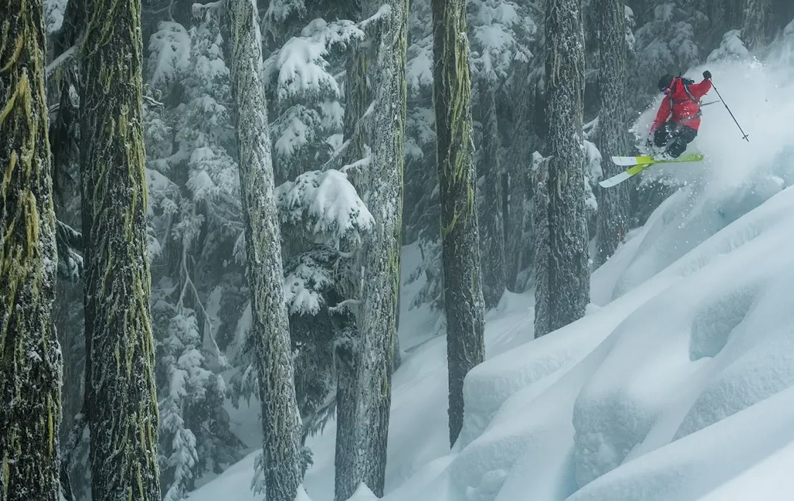 SEEKr 110 SWIFT (Past Season) video