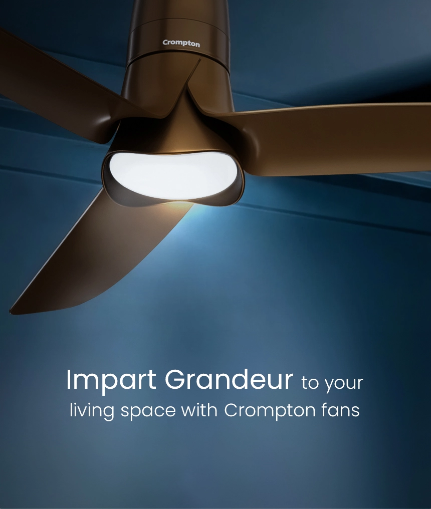 Living Room Fans