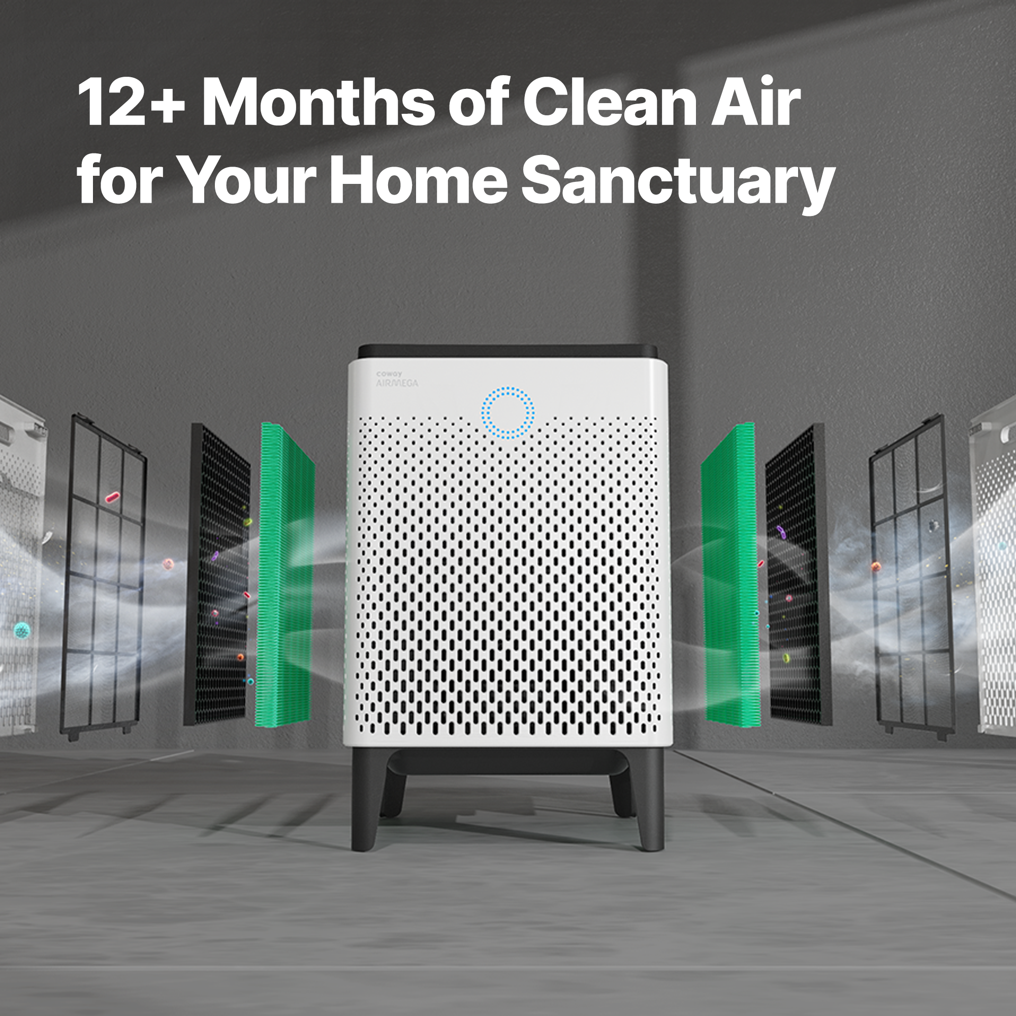 Filter replacement recommended every 12 months