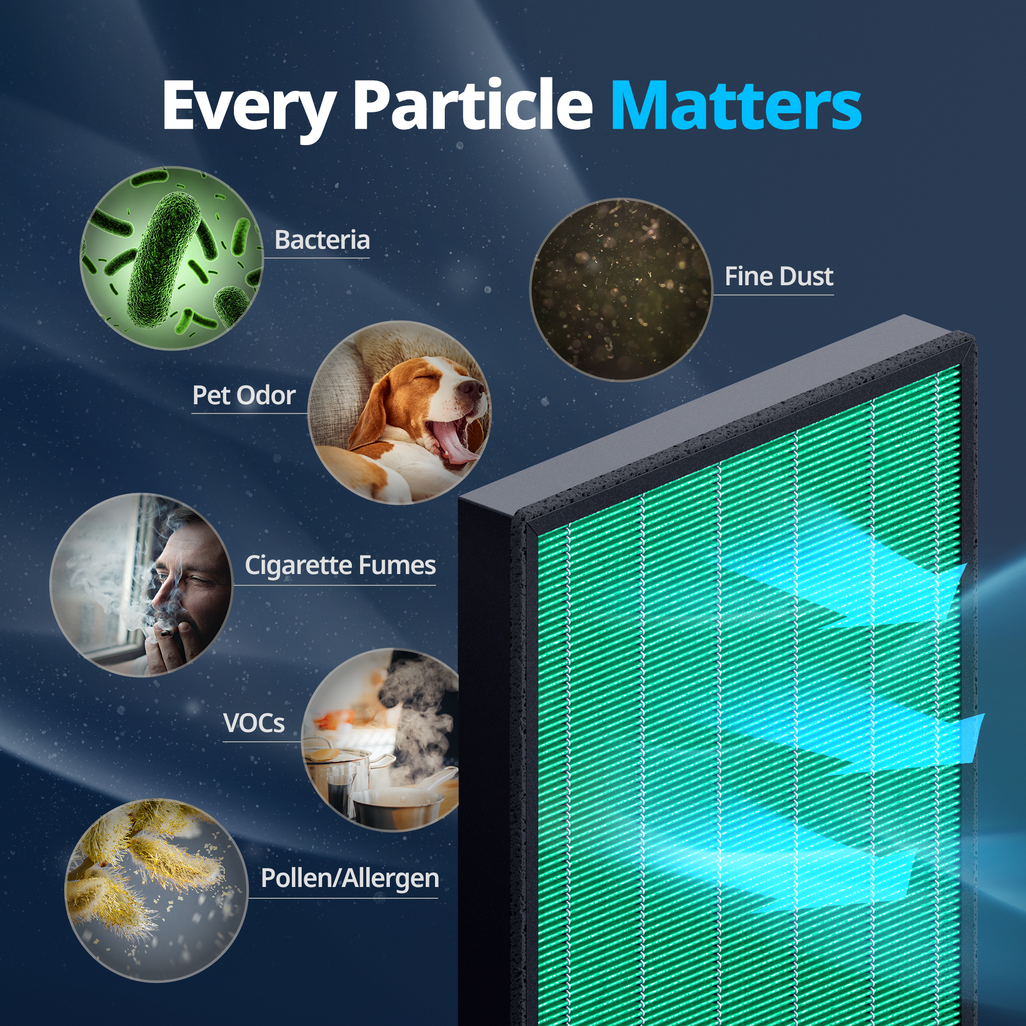 Particles that Coway filters collect