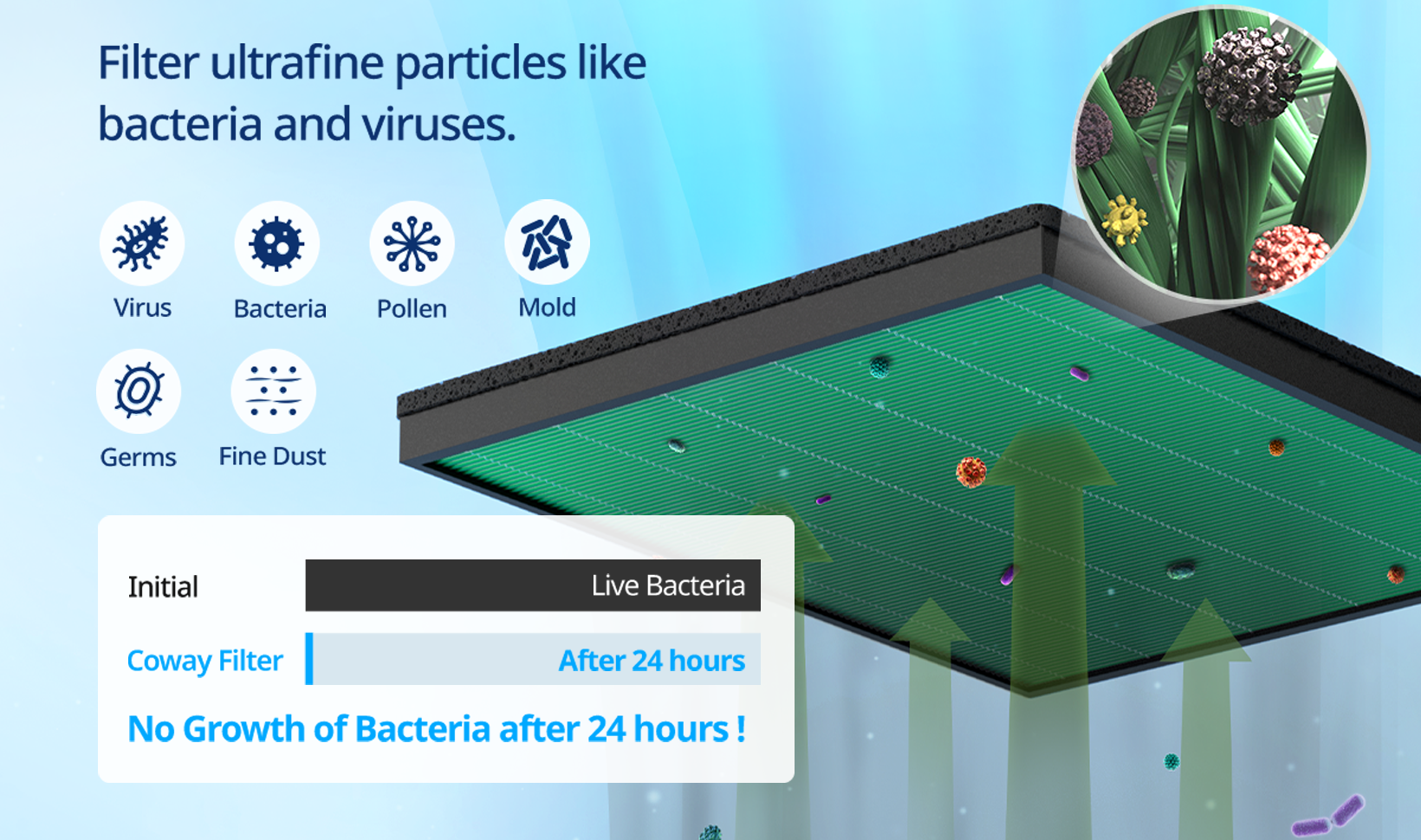 Filter ultrafine particles like bacteria and viruses: No Growth of Bacteria after 24 hours!