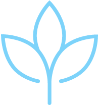 feature icon