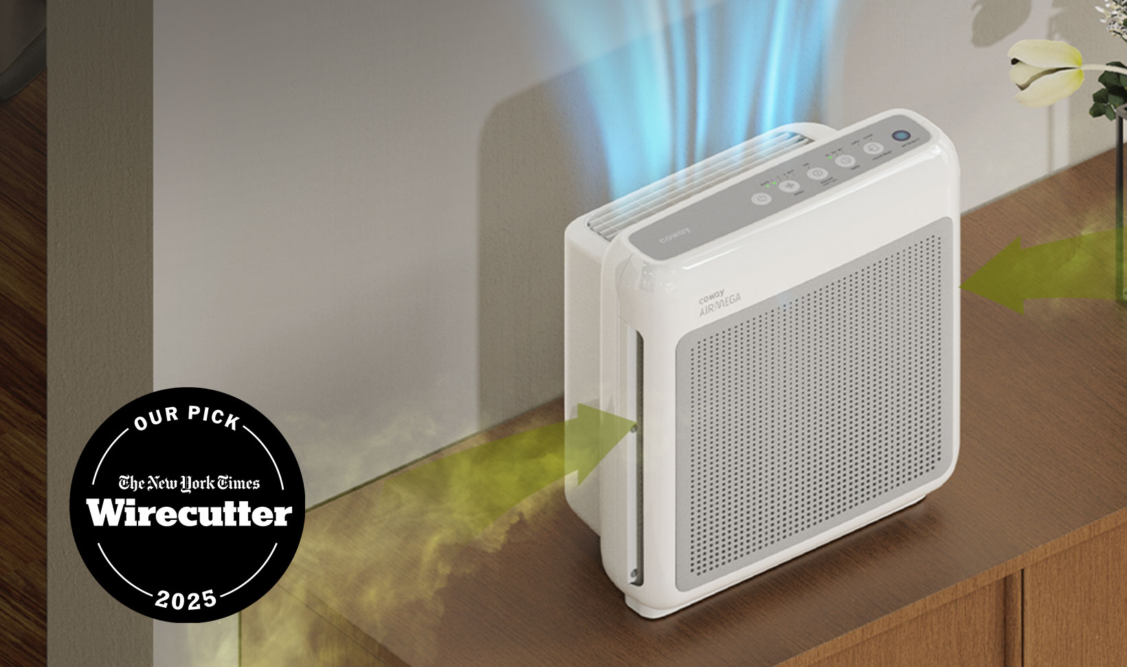Airmega Mighty is a Wirecutter top pick for 2025