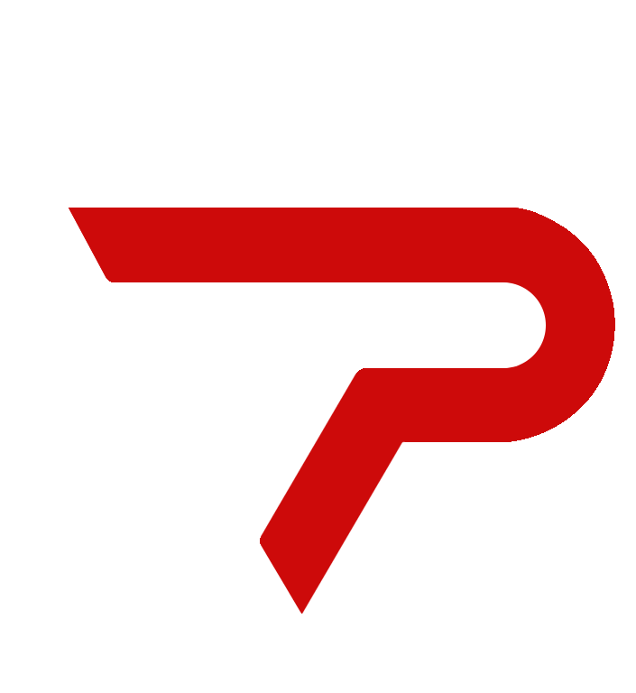 The PT Mentor
