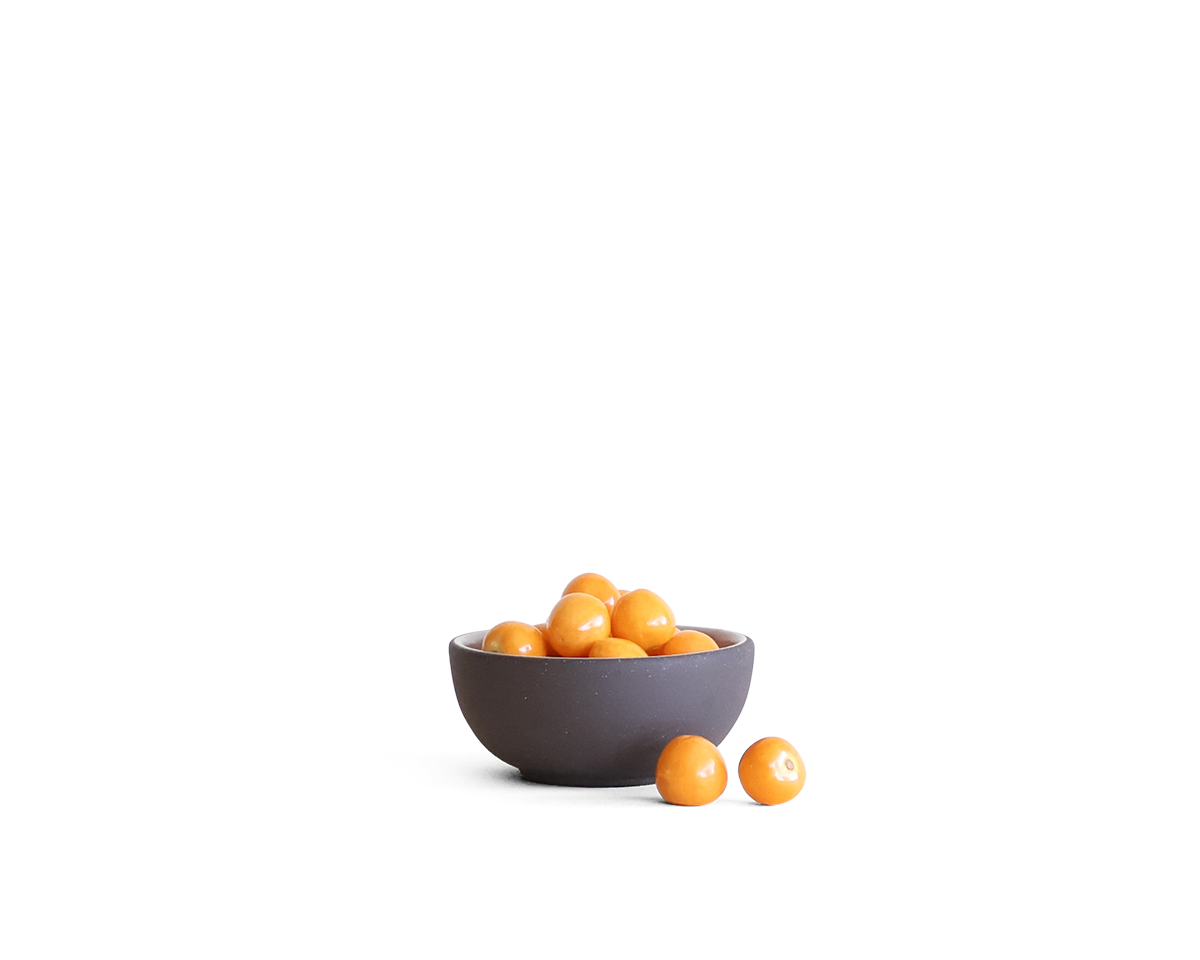 4-coupe-fry-bowl
