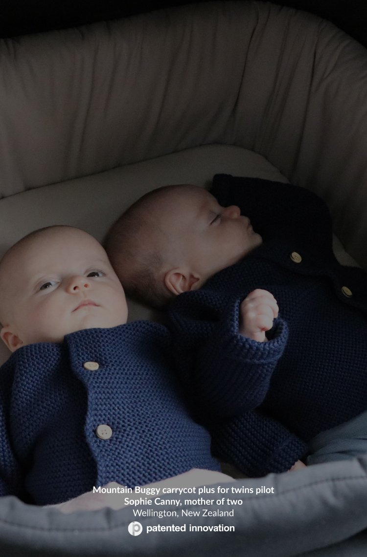  Juno Moisés – Cama portátil para bebé + colchón de