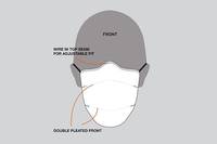 Face Mask (Pack of 5)