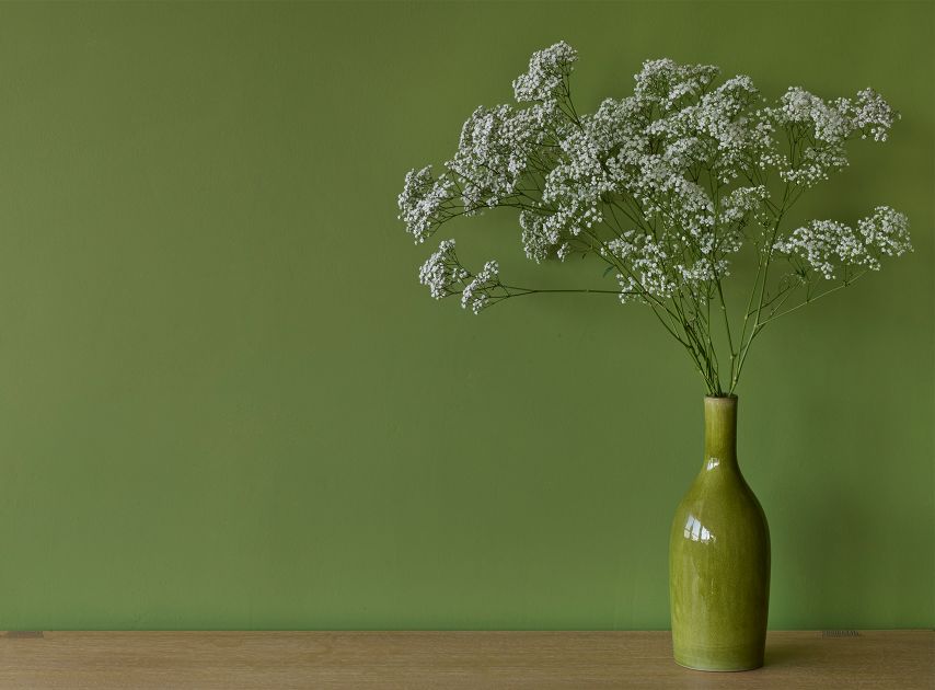 Forest Green walls painted with Primrose Hill No.201 