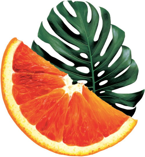 GO BIG ingredients blood orange