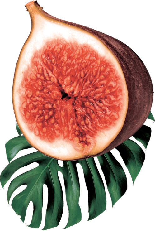 GO BIG ingredients fig