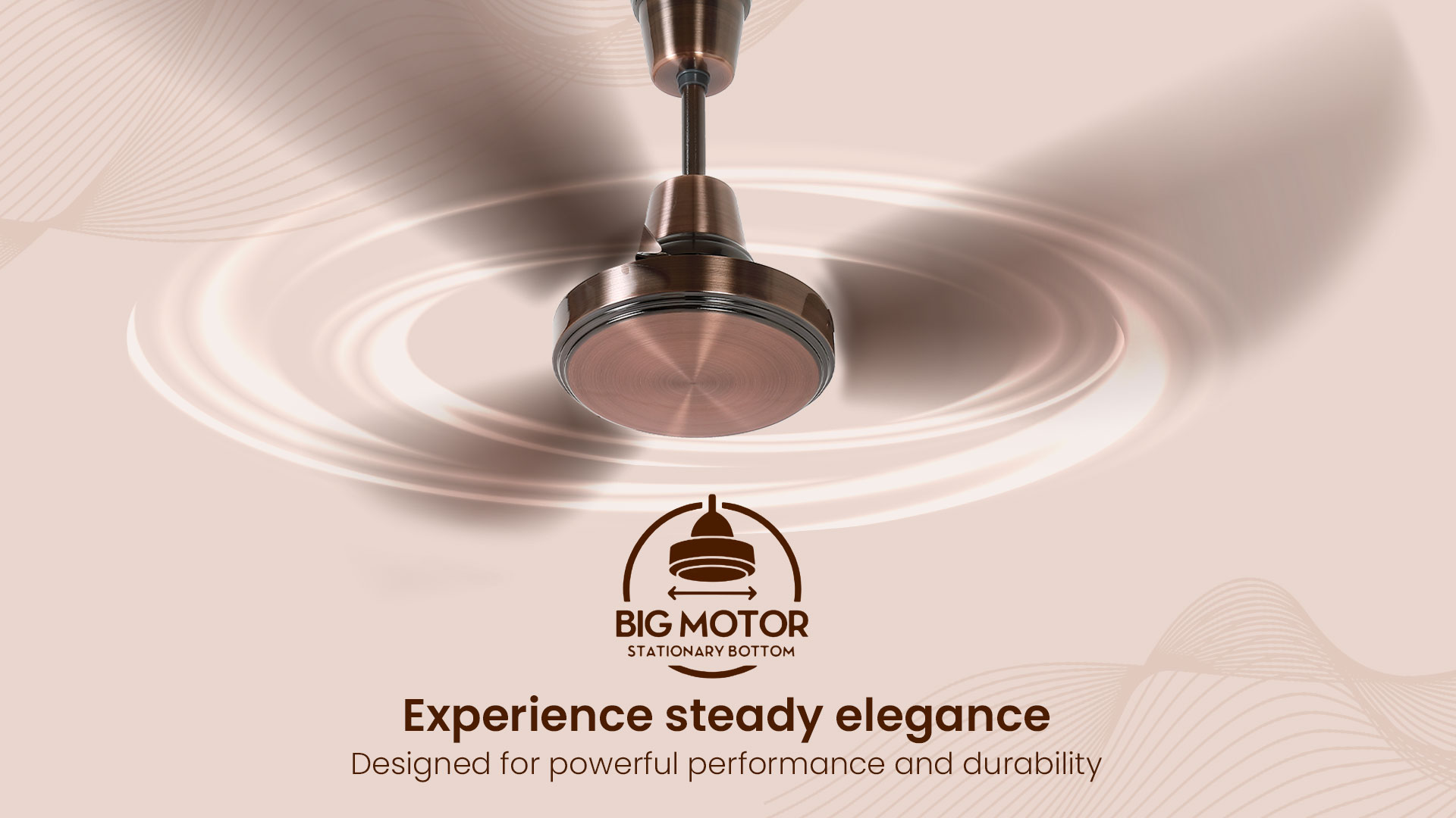 Experience Steady Elegance