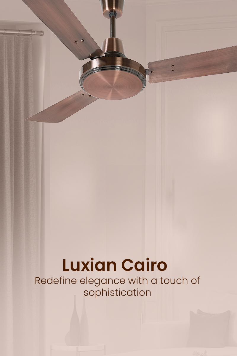 Luxian Cairo