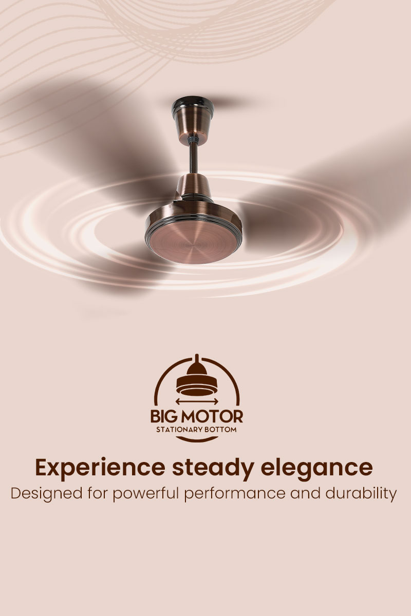 Experience Steady Elegance