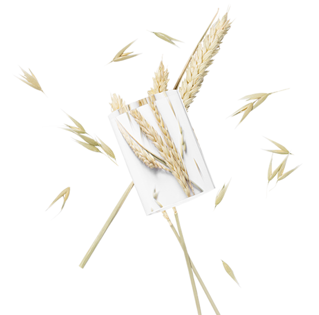 Wheat ceramides (Ceramosides™)