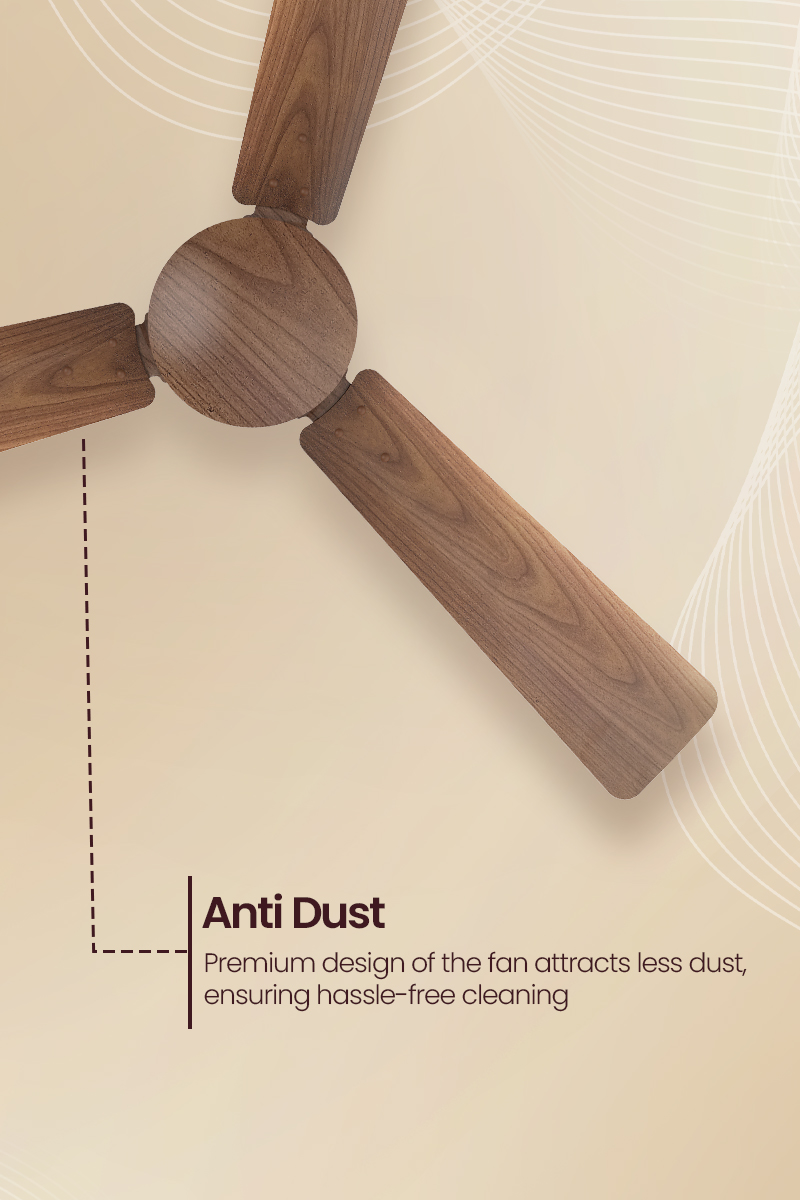 Anti Dust