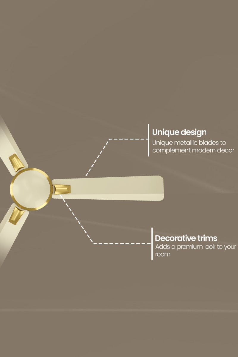 Unique Design, Decorative Trims