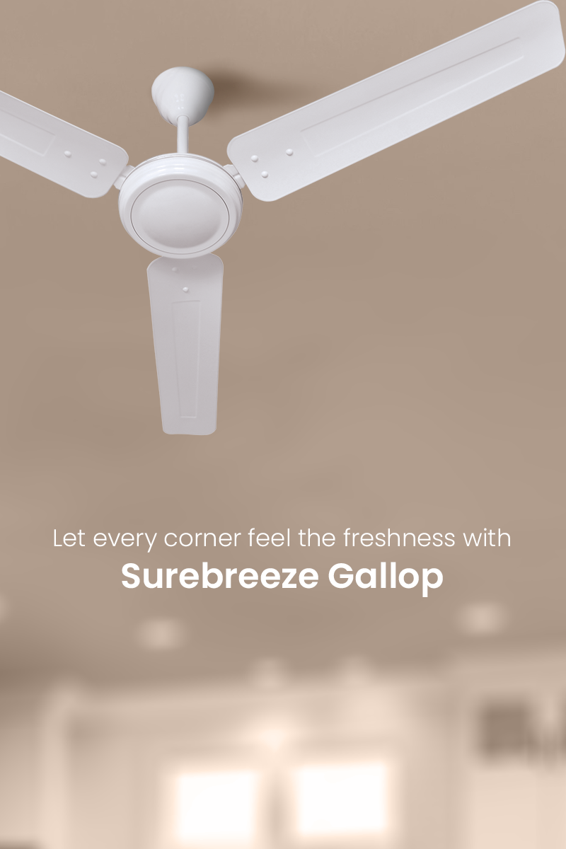 Surebreeze Gollop