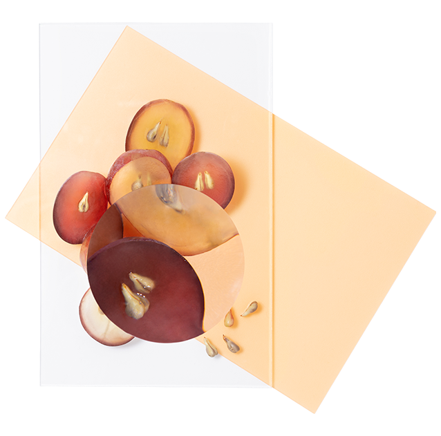 Polifenoles de semillas de uva