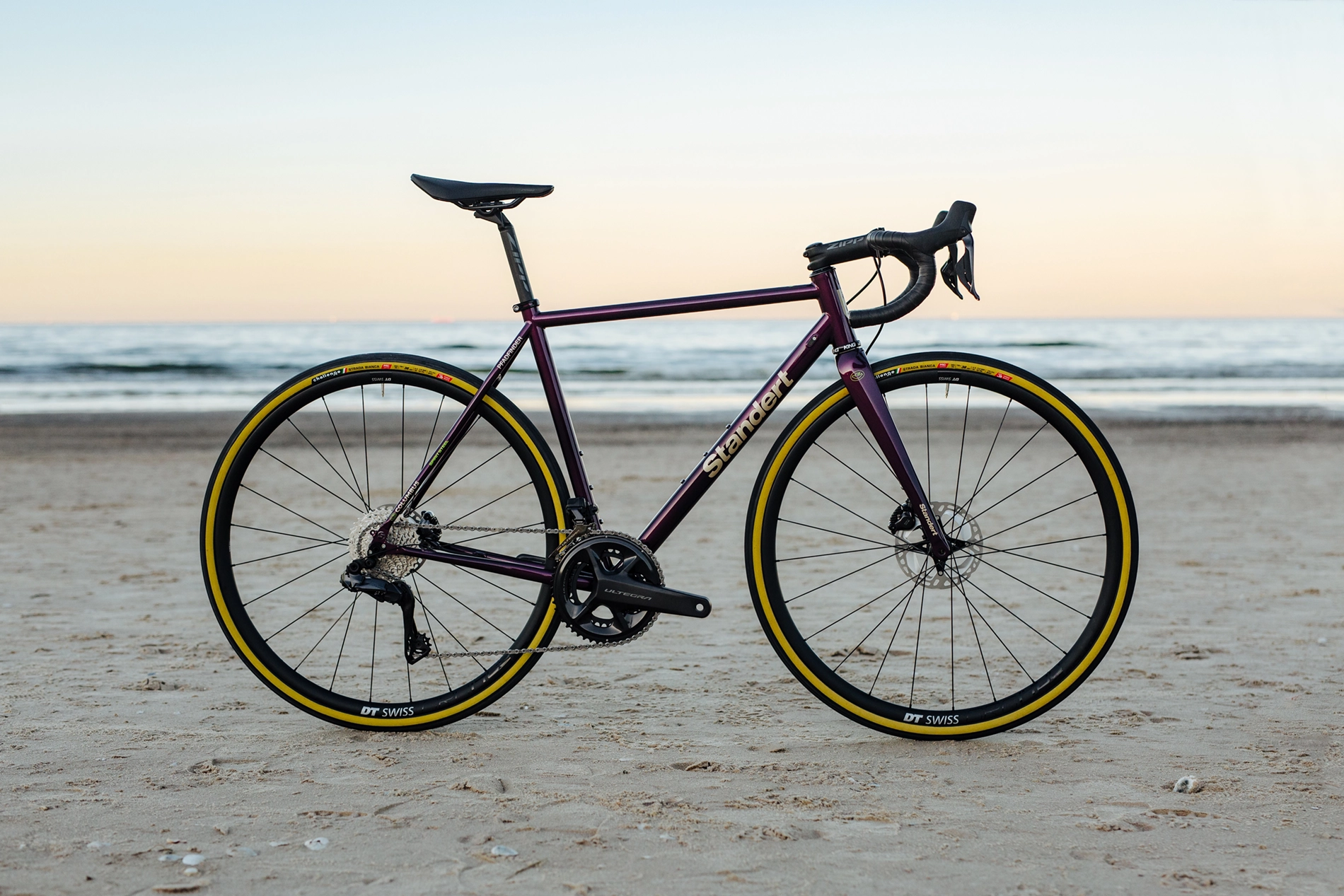 Pfadfinder Endurance Bike - Parmigiana