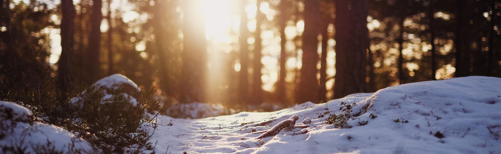 10 Winter Tips for Staying Mentally and Physically Healthy