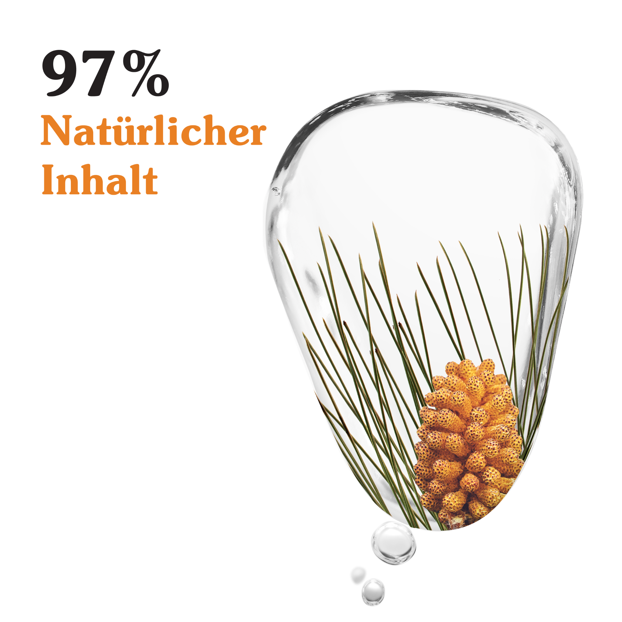 Black Pine Primus Erneuernde Nachtcreme gegen Falten Thumbnail 2
