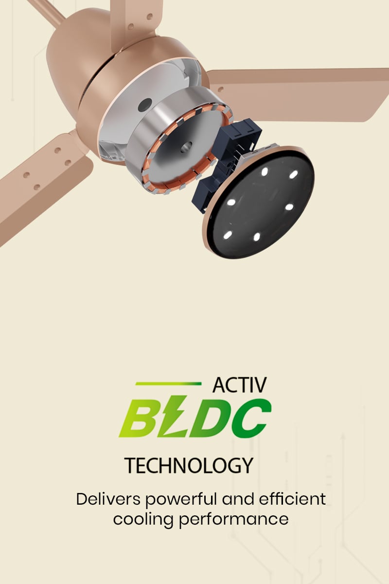 ActivBLDC Technology