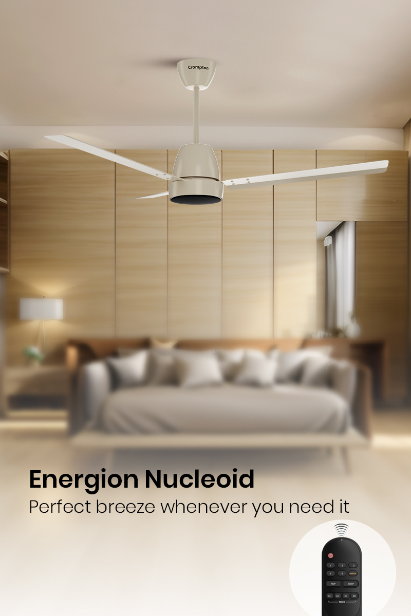 Energion Nucleoid