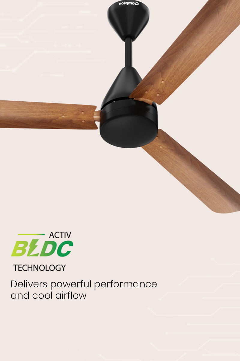 ActivBLDC Technology