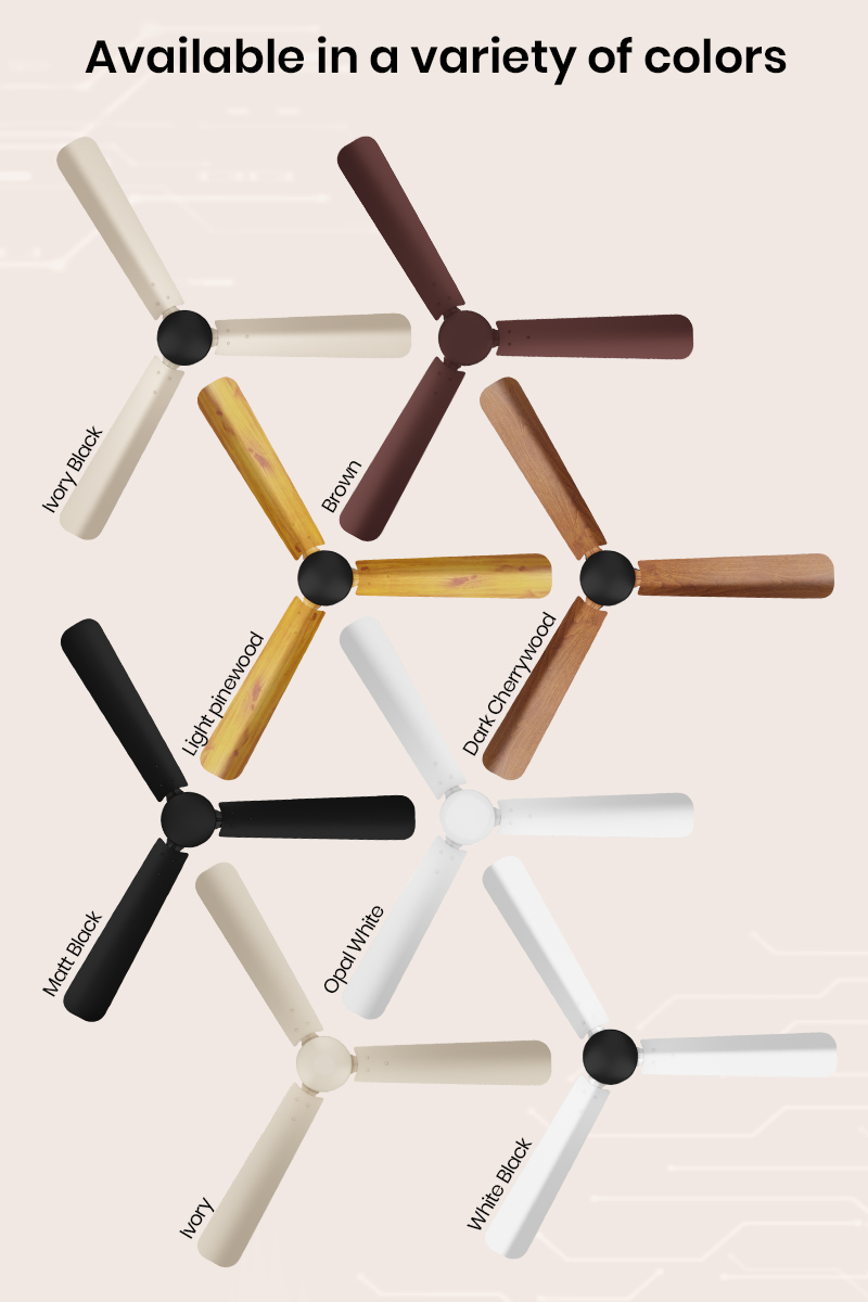 Available in your Favourite Colors