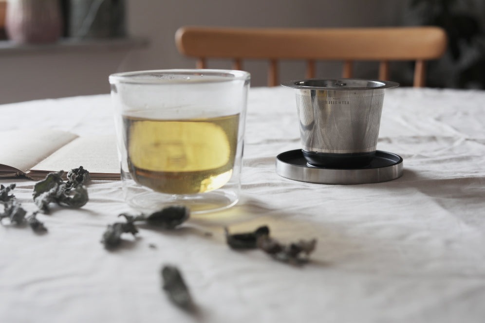 KINTO LEAVES TO TEA CUP WITH STRAINER (260ML/8.8OZ) CLEAR THUMBNAIL 6